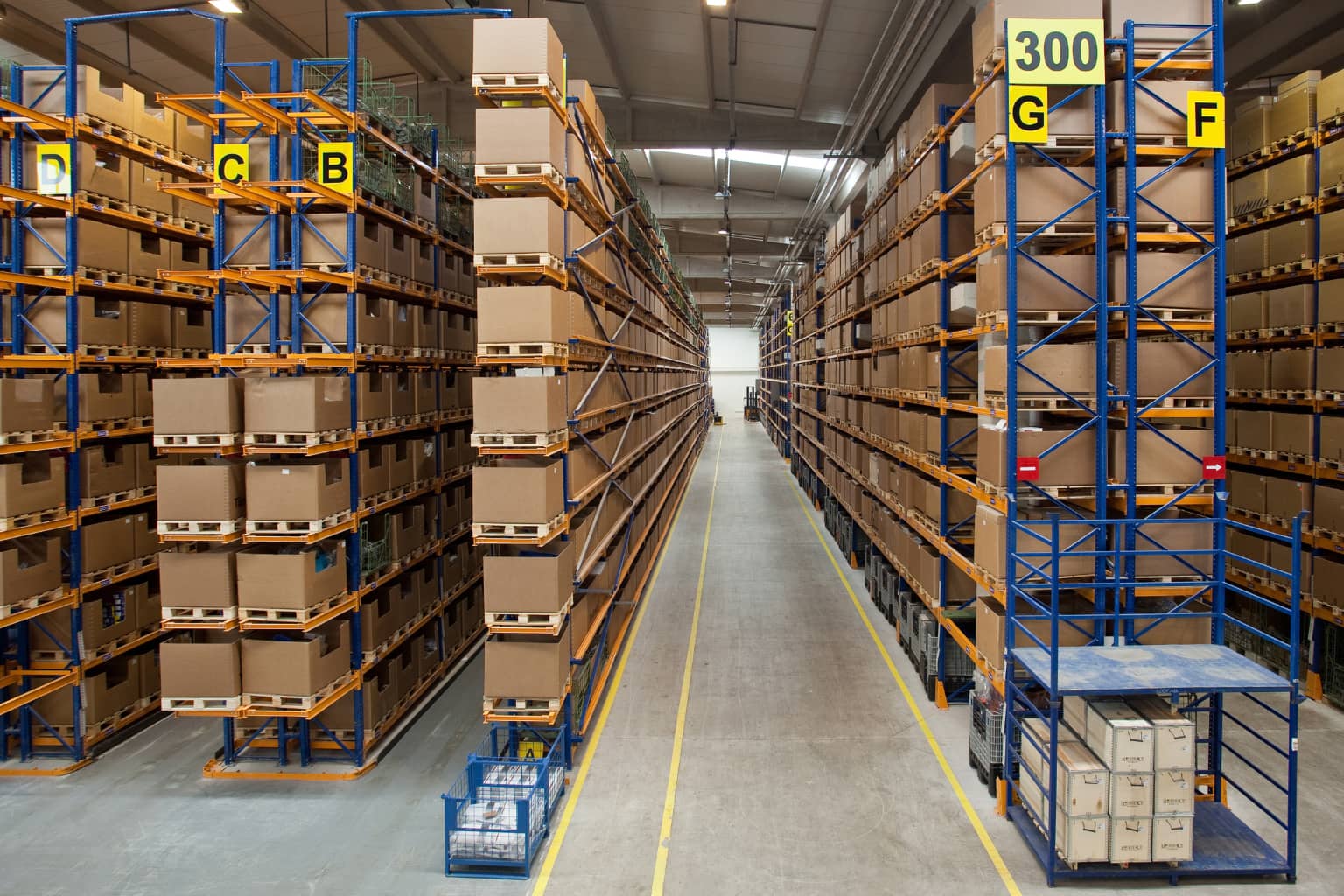 New Zealand manufacturing facility with a production team at work