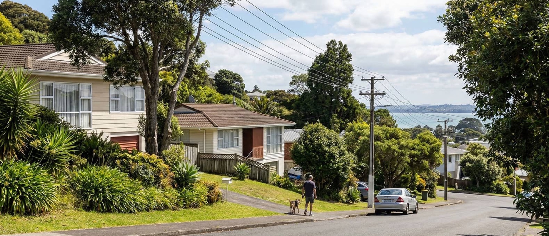 Local view of Bayview, Auckland