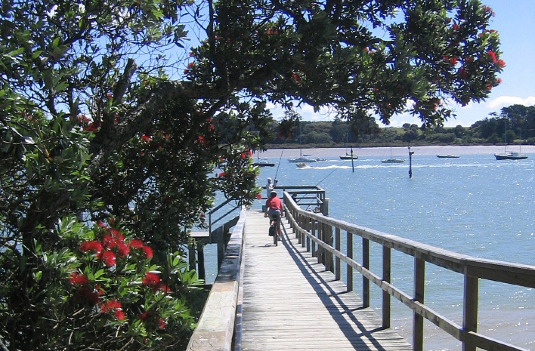 Local view of Beach Haven, Auckland