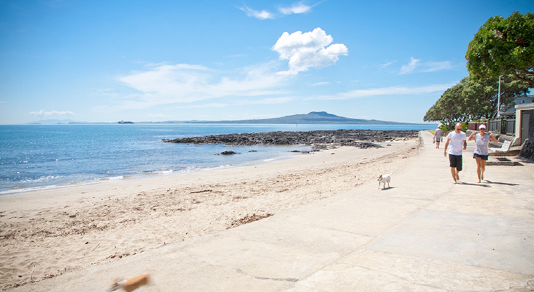 Local view of Castor Bay, Auckland