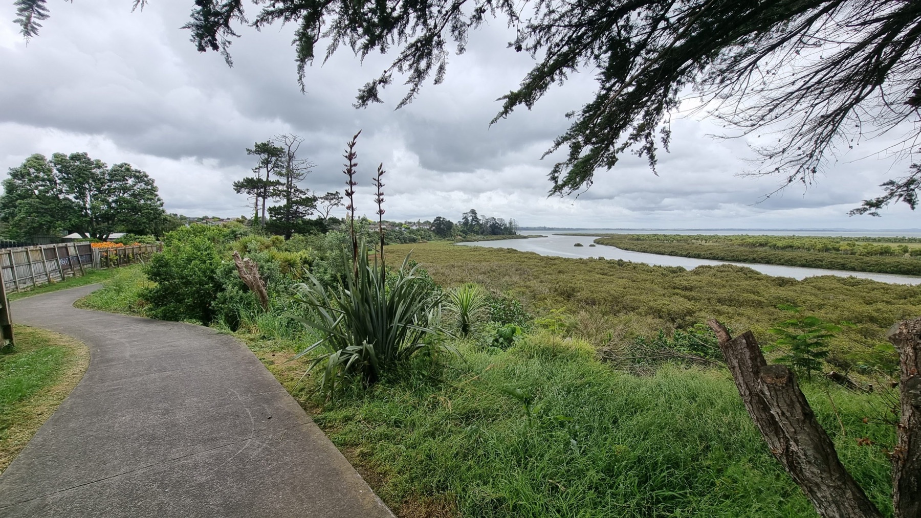 Local view of Clendon Park, Auckland