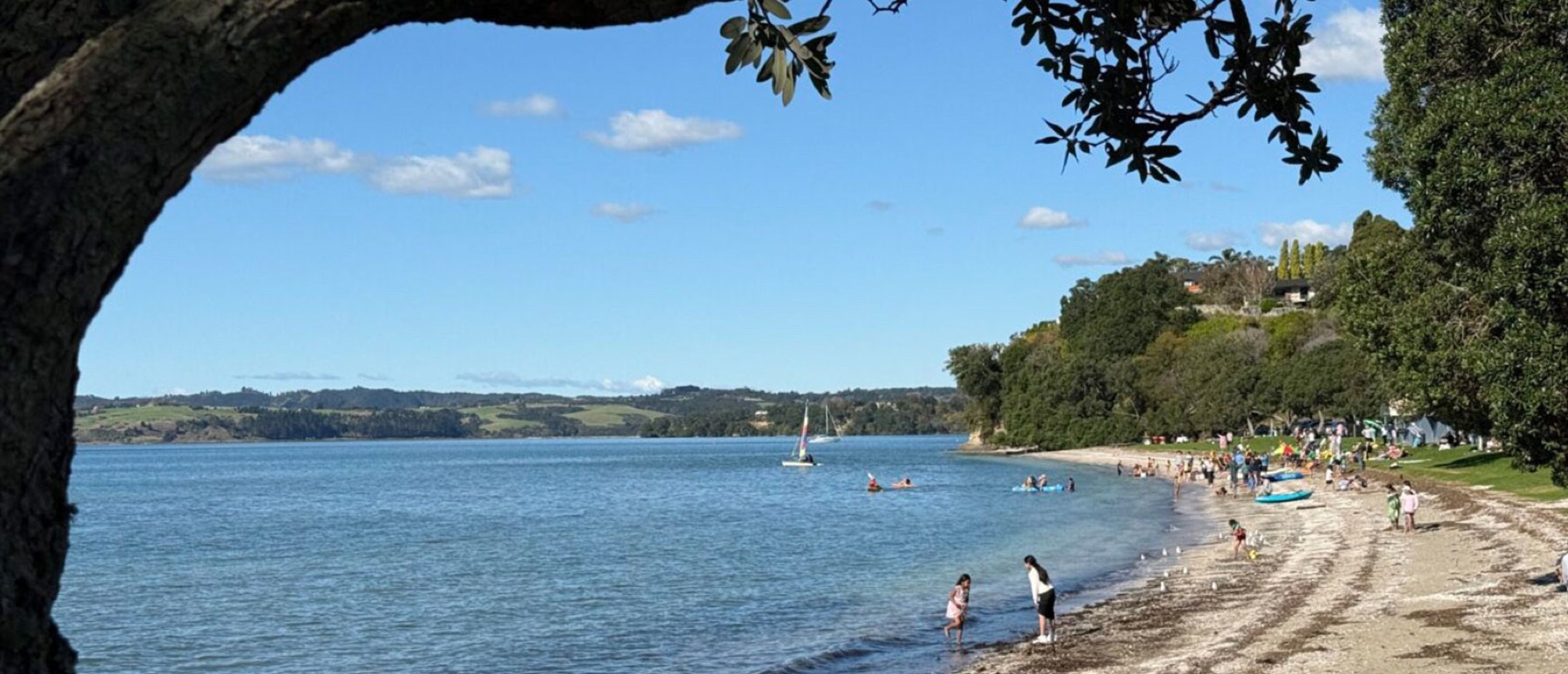 Local view of Cockle Bay, Auckland