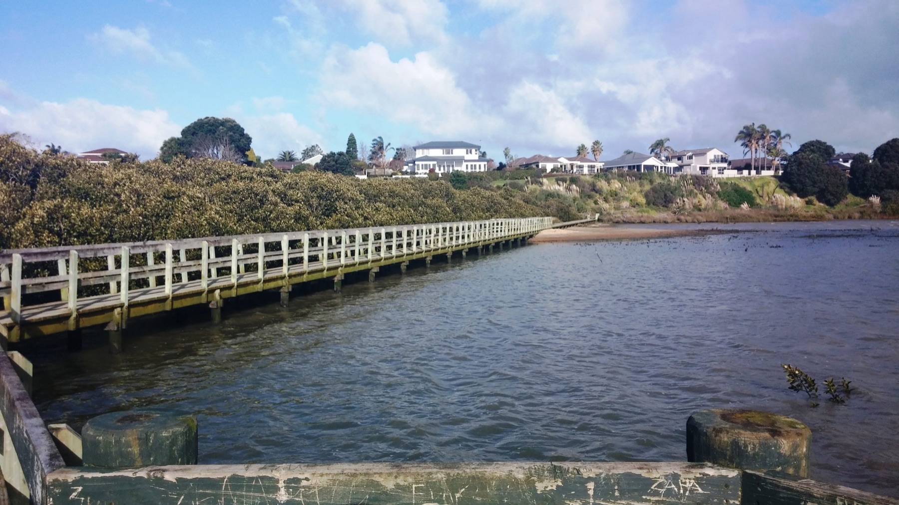 Local view of Conifer Grove, Auckland