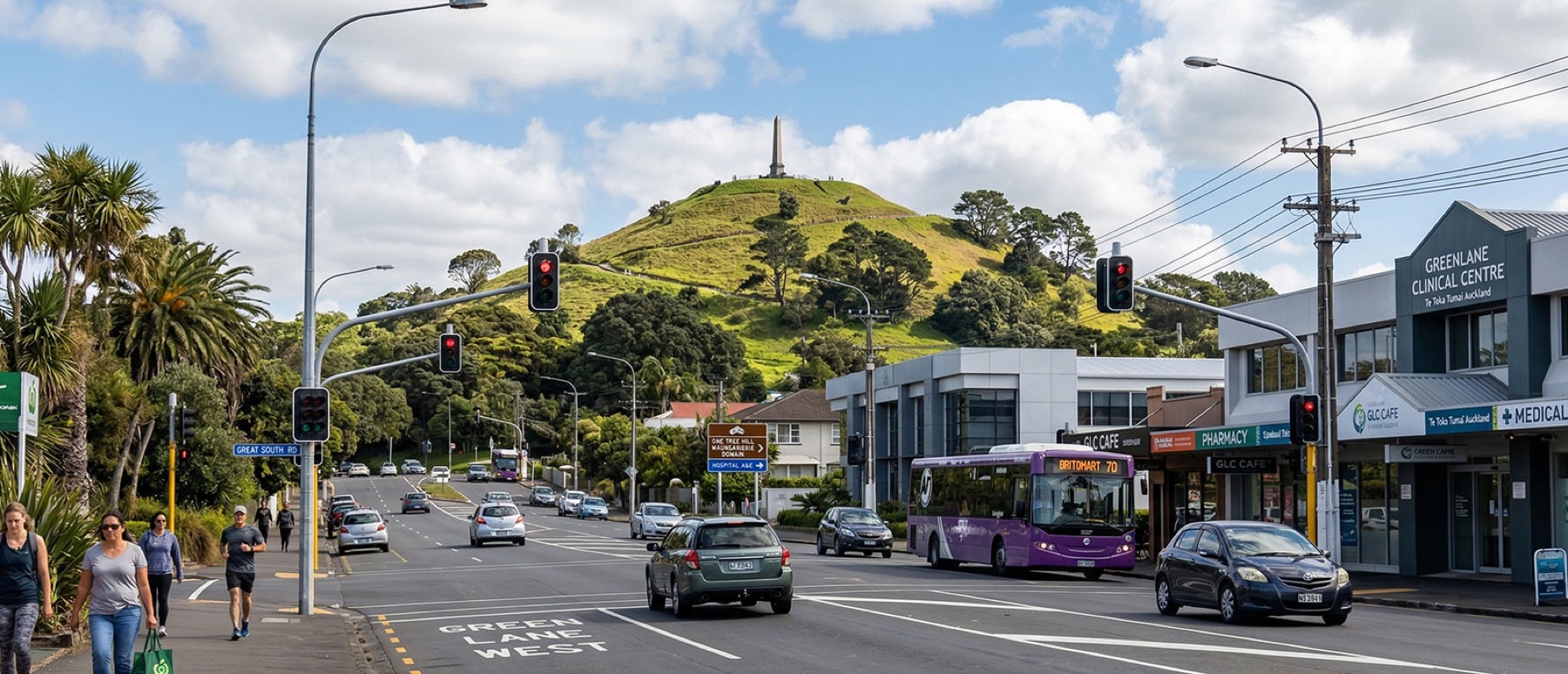 Local view of Greenlane, Auckland