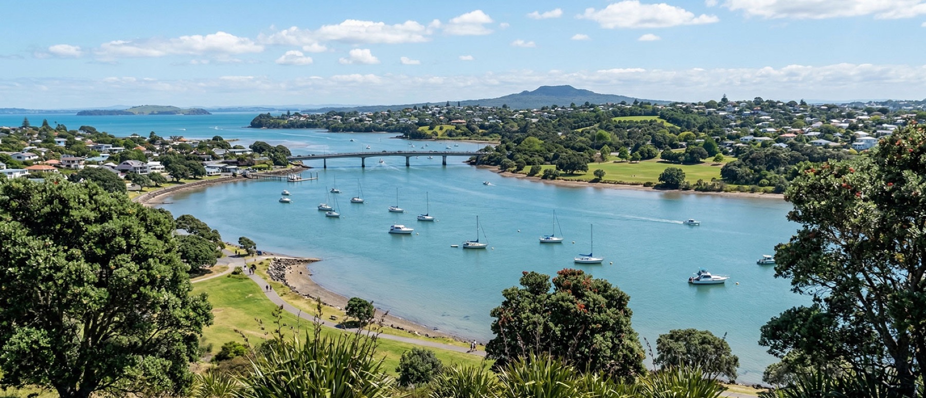Local view of Tamaki, Auckland