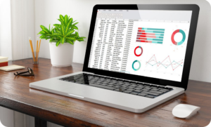 Client feedback meeting with a Software Development Company Auckland developer