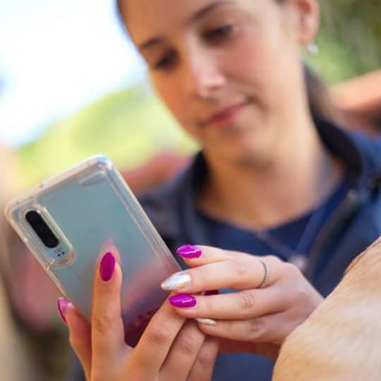 mobile-first-design-business-web-developers