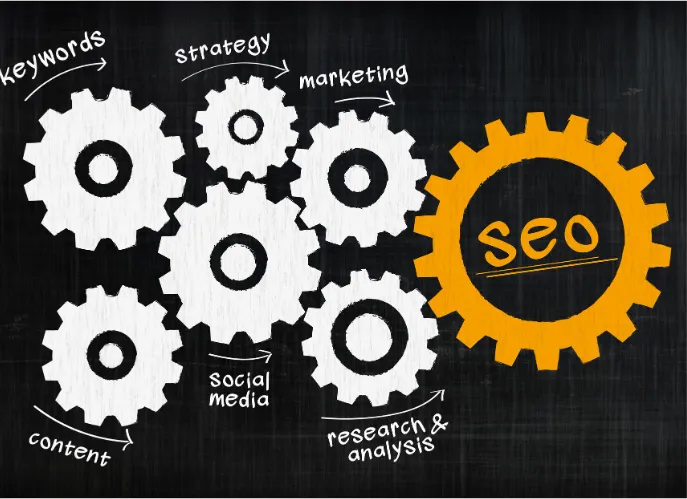 Optimised SEO plugin setup for WordPress Website Tips for Auckland Business