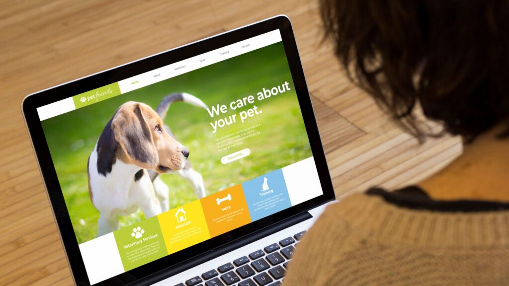 Web Design Image Homepage slider with one focused message per slide